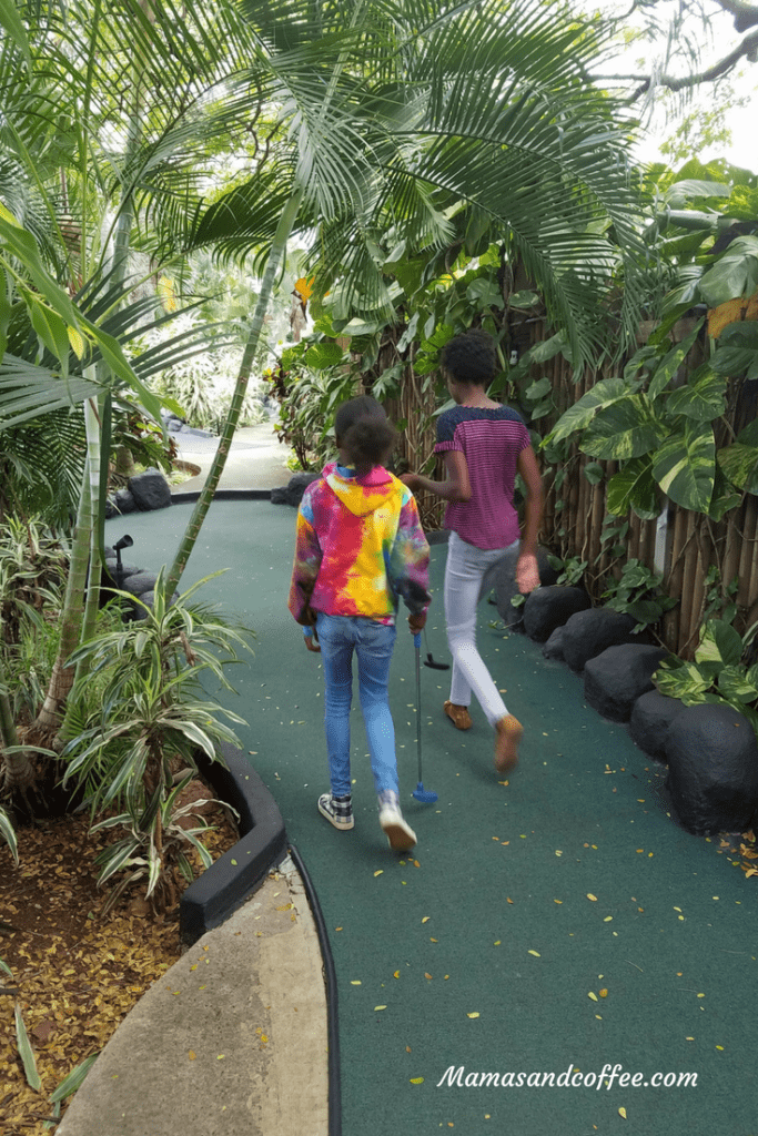 Two people walking on a path in the middle of an indoor garden.