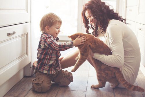 A woman and child playing with a cat.