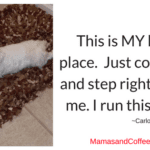 A dog laying on top of a rug.