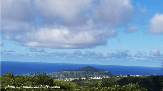 A view of the ocean from an overlook.