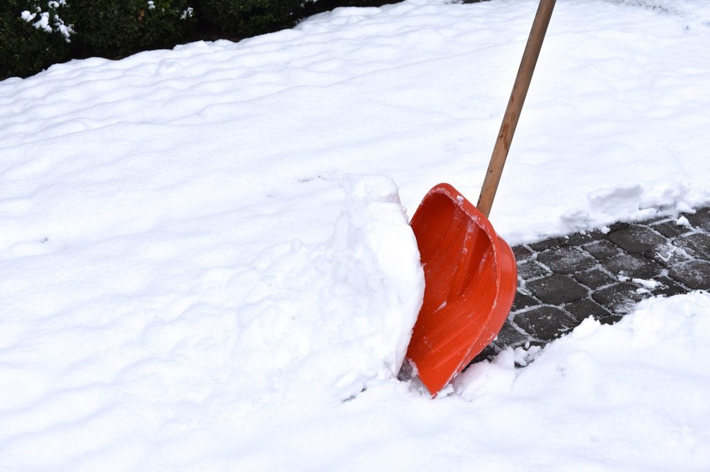 A red shovel is in the snow near some bushes.