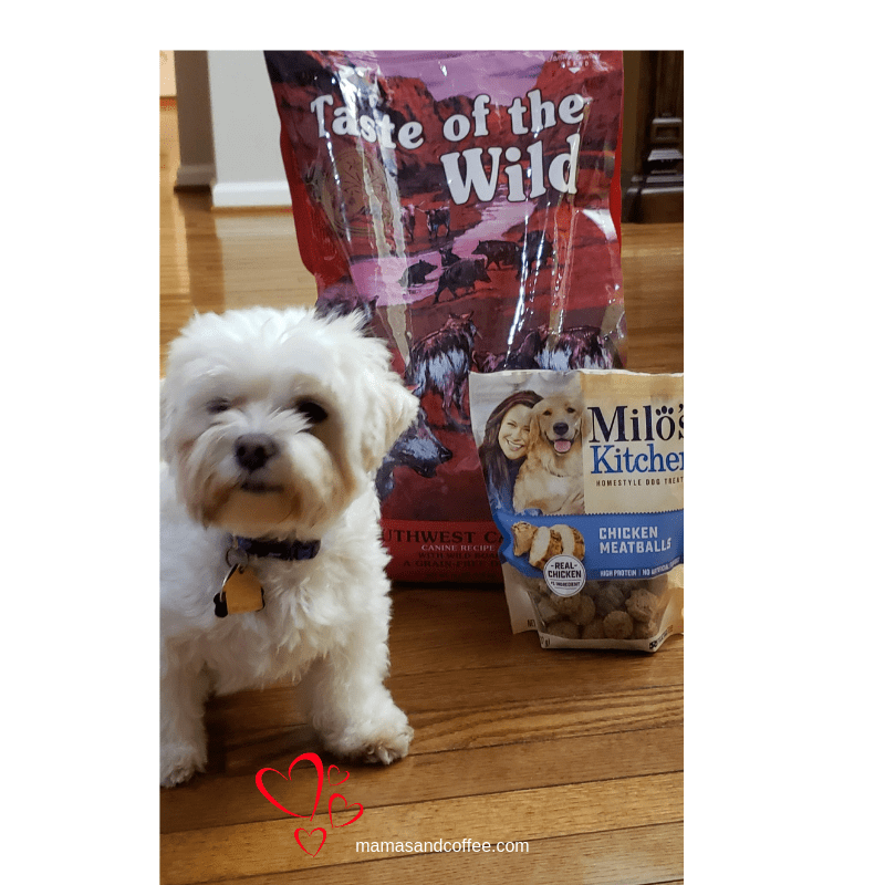 A white dog sitting next to a bag of food.