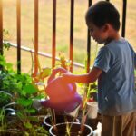 A young boy watering plants in a garden.