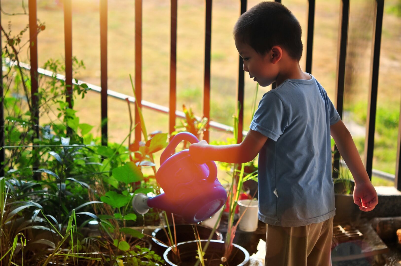 A young boy watering plants in a garden.
