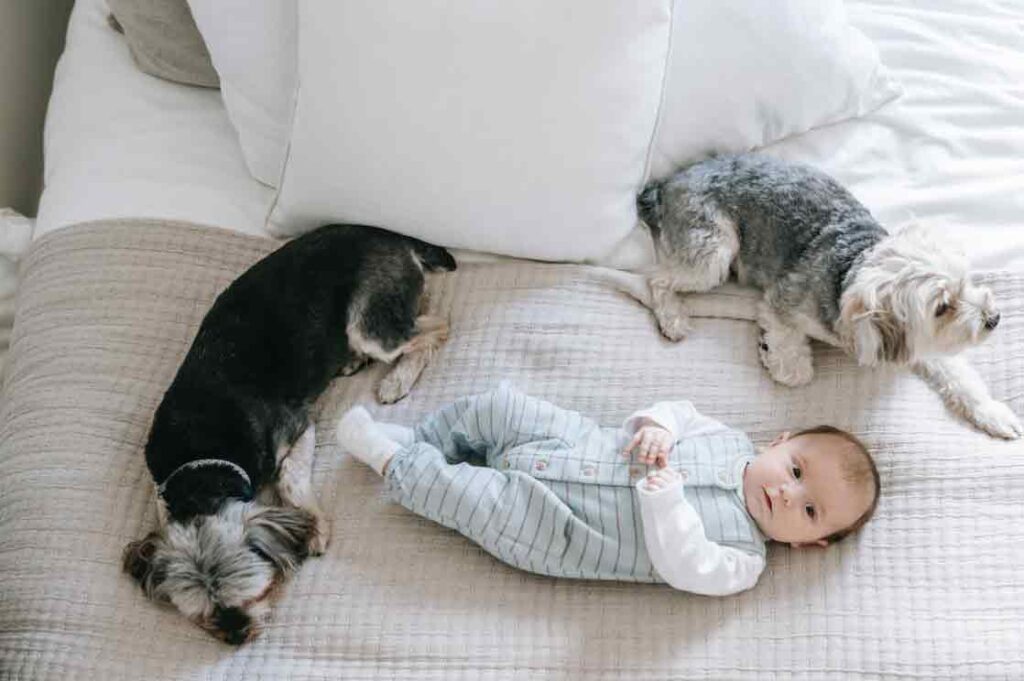 A baby and two cats laying on the floor