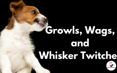 Growls, Wags, and Whisker Twitches